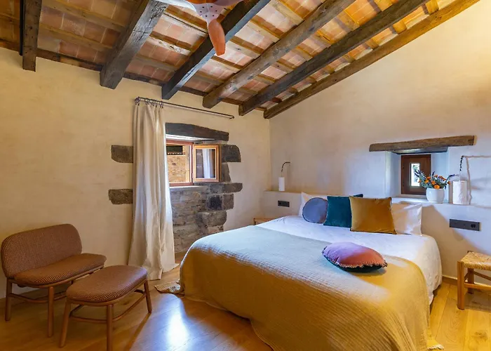 Hotel Mas Terrers Arbúcies